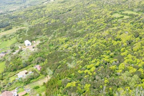 Tomt i Capelo, Faial, Capelo - € 82 500 | Ref: ZMPT579571 - foto 6
