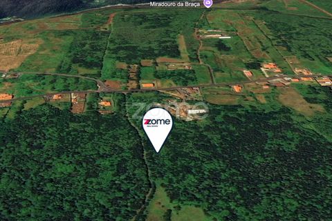 Tomt i Capelo, Faial, Capelo - € 82 500 | Ref: ZMPT579571 - foto 9