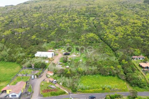 Helårsgrund i Capelo, Faial, Capelo - € 92.500 | Ref: ZMPT579570 - foto 5