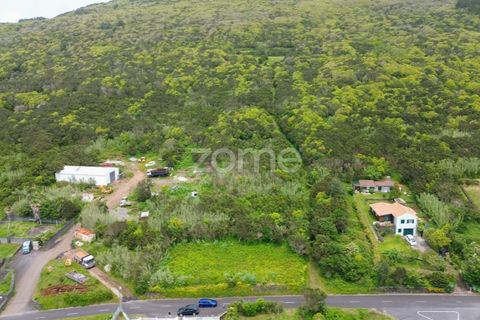Helårsgrund i Capelo, Faial, Capelo - € 92.500 | Ref: ZMPT579570 - foto 6
