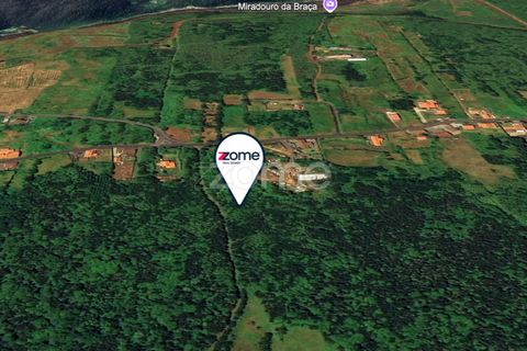 Helårsgrund i Capelo, Faial, Capelo - € 92.500 | Ref: ZMPT579570 - foto 8
