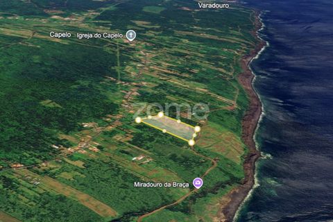 Helårsgrund i Capelo, Faial, Capelo - € 315.000 | Ref: ZMPT579648 - foto 7