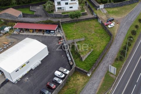 Terra a Sao Roque, Madeira, Sao Roque - € 180.000 | Ref: ZMPT579639 - foto 2