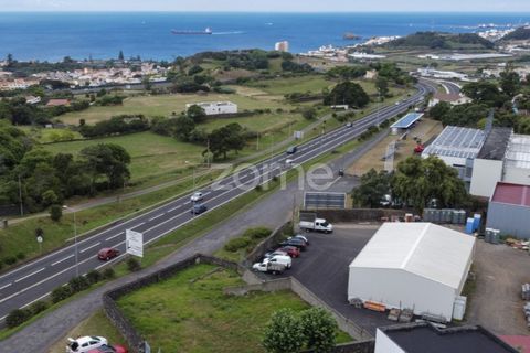 Terra a Sao Roque, Madeira, Sao Roque - € 180.000 | Ref: ZMPT579639 - foto 7