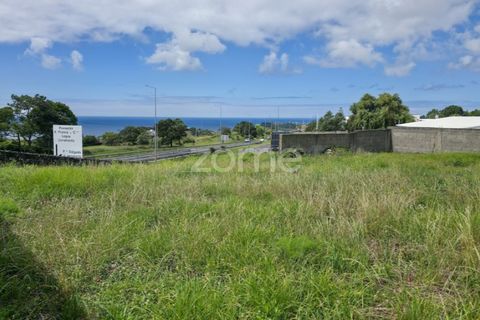 Terra a Sao Roque, Madeira, Sao Roque - € 180.000 | Ref: ZMPT579639 - foto 9