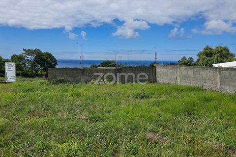Terra a Sao Roque, Madeira, Sao Roque - € 180.000 | Ref: ZMPT579639 - foto 10