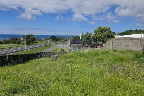 Terra a Sao Roque, Madeira, Sao Roque - € 180.000 | Ref: ZMPT579639 - foto 11
