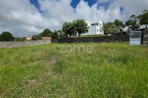 Terra a Sao Roque, Madeira, Sao Roque - € 180.000 | Ref: ZMPT579639 - foto 13
