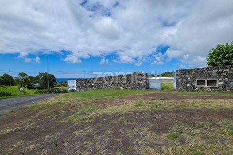 Terra a Sao Roque, Madeira, Sao Roque - € 180.000 | Ref: ZMPT579639 - foto 15
