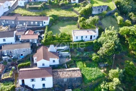 Villa i Ribeiras, Pico, Ribeiras - € 269.000 | Ref: ZMPT579286 - foto 2