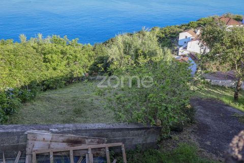 Villa i Ribeiras, Pico, Ribeiras - € 269.000 | Ref: ZMPT579286 - foto 7