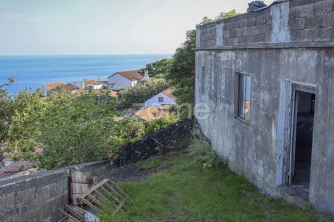 Villa i Ribeiras, Pico, Ribeiras - € 269.000 | Ref: ZMPT579286 - foto 8