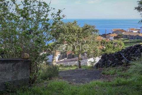 Villa i Ribeiras, Pico, Ribeiras - € 269.000 | Ref: ZMPT579286 - foto 9