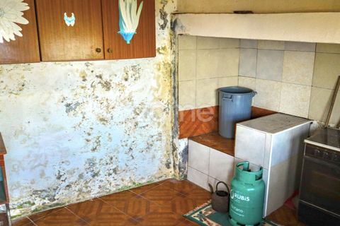 Villa i Ribeiras, Pico, Ribeiras - € 269.000 | Ref: ZMPT579286 - foto 14