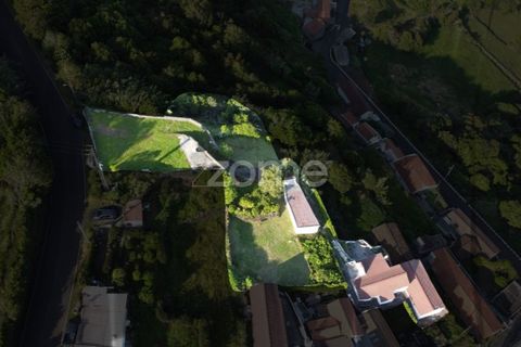 Villa i Ribeiras, Pico, Ribeiras - € 269.000 | Ref: ZMPT579286 - foto 23