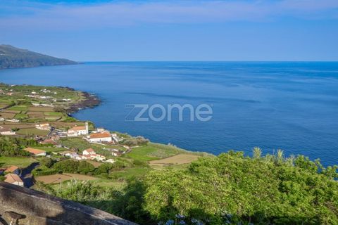 Villa i Ribeiras, Pico, Ribeiras - € 269.000 | Ref: ZMPT579286 - foto 3