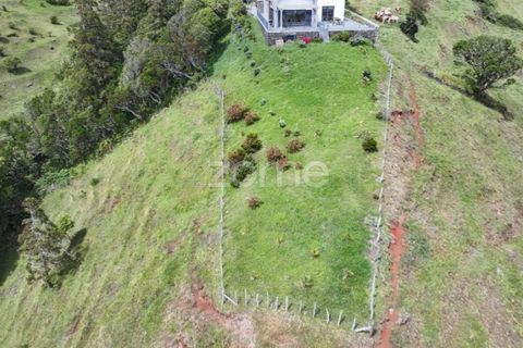 Villa i Vila do Porto, Santa Maria, Vila do Porto - € 750.000 | Ref: ZMPT579118 - foto 27