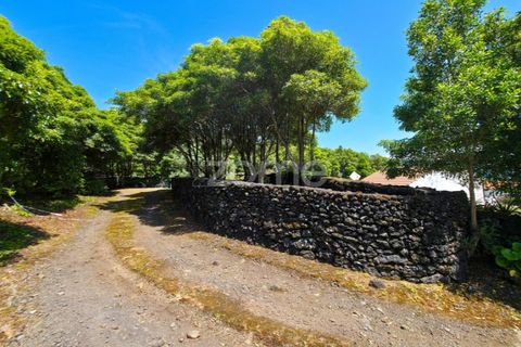 Villa a Prainha, Pico, Prainha - € 530.000 | Ref: ZMPT578019 - foto 42