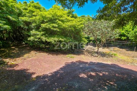 Villa a Prainha, Pico, Prainha - € 530.000 | Ref: ZMPT578019 - foto 44