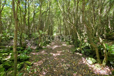 Villa a Prainha, Pico, Prainha - € 530.000 | Ref: ZMPT578019 - foto 45