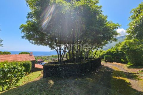 Villa a Prainha, Pico, Prainha - € 530.000 | Ref: ZMPT578019 - foto 46
