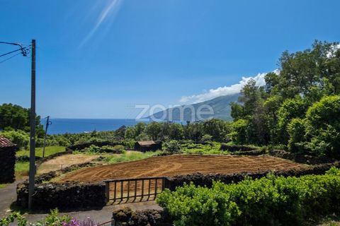 Villa a Prainha, Pico, Prainha - € 530.000 | Ref: ZMPT578019 - foto 49