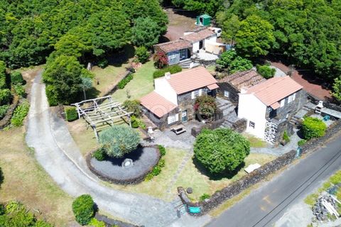 Villa a Prainha, Pico, Prainha - € 530.000 | Ref: ZMPT578019 - foto 50