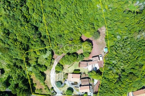 Villa i Prainha, Pico, Prainha - € 530 000 | Ref: ZMPT578019 - foto 49