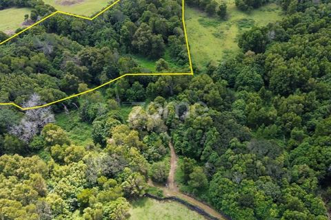 Helårsgrund i Sao Roque do Pico, Pico, Sao Roque do Pico - € 80.000 | Ref: ZMPT577484 - foto 19