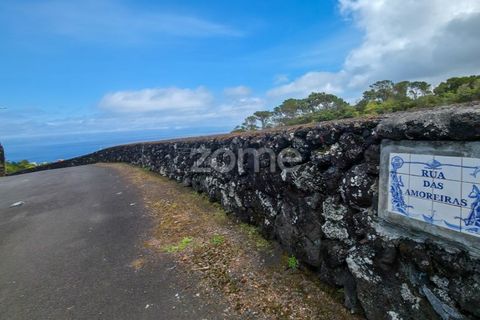 Helårsgrund i Sao Roque do Pico, Pico, Sao Roque do Pico - € 80.000 | Ref: ZMPT577484 - foto 3