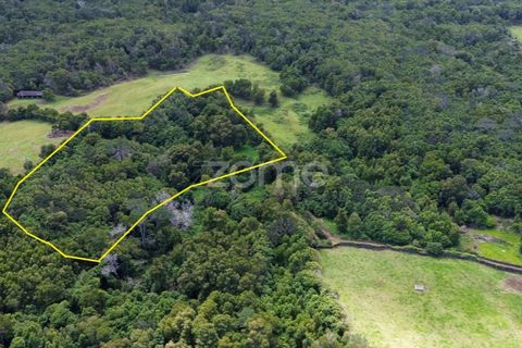 Helårsgrund i Sao Roque do Pico, Pico, Sao Roque do Pico - € 80.000 | Ref: ZMPT577484 - foto 4