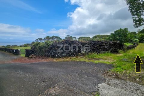 Helårsgrund i Sao Roque do Pico, Pico, Sao Roque do Pico - € 80.000 | Ref: ZMPT577484 - foto 5