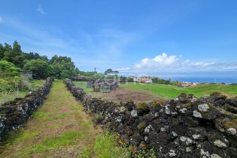 Helårsgrund i Sao Roque do Pico, Pico, Sao Roque do Pico - € 80.000 | Ref: ZMPT577484 - foto 7