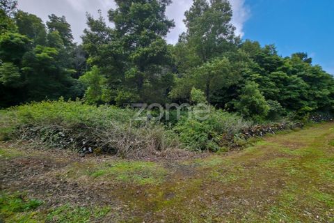 Helårsgrund i Sao Roque do Pico, Pico, Sao Roque do Pico - € 80.000 | Ref: ZMPT577484 - foto 8