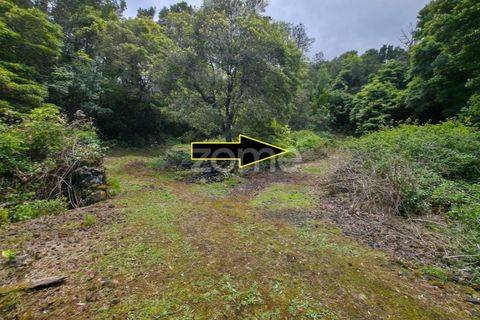 Helårsgrund i Sao Roque do Pico, Pico, Sao Roque do Pico - € 80.000 | Ref: ZMPT577484 - foto 9