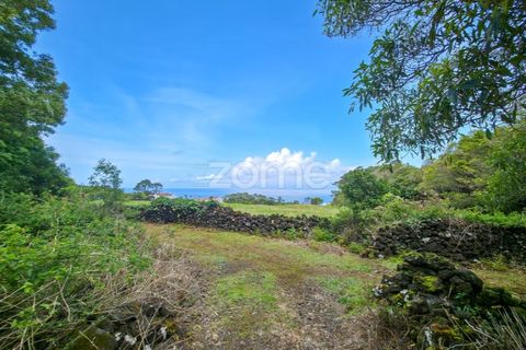 Helårsgrund i Sao Roque do Pico, Pico, Sao Roque do Pico - € 80.000 | Ref: ZMPT577484 - foto 10