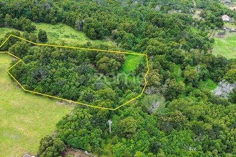 Helårsgrund i Sao Roque do Pico, Pico, Sao Roque do Pico - € 80.000 | Ref: ZMPT577484 - foto 17