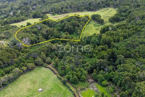 Helårsgrund i Sao Roque do Pico, Pico, Sao Roque do Pico - € 80.000 | Ref: ZMPT577484 - foto 20