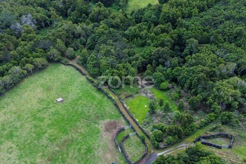 Helårsgrund i Sao Roque do Pico, Pico, Sao Roque do Pico - € 80.000 | Ref: ZMPT577484 - foto 21