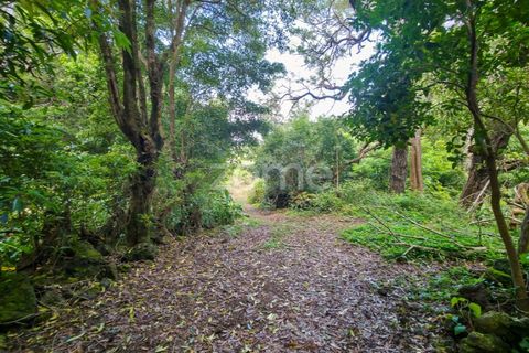Helårsgrund i Sao Roque do Pico, Pico, Sao Roque do Pico - € 80.000 | Ref: ZMPT577484 - foto 11