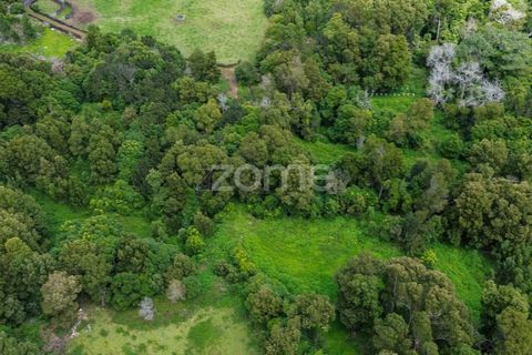 Helårsgrund i Sao Roque do Pico, Pico, Sao Roque do Pico - € 80.000 | Ref: ZMPT577484 - foto 16