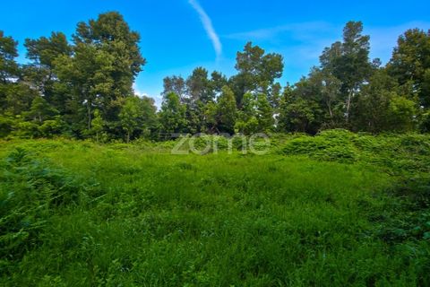 Helårsgrund i Sao Roque do Pico, Pico, Sao Roque do Pico - € 80.000 | Ref: ZMPT577484 - foto 2