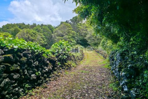 Helårsgrund i Sao Roque do Pico, Pico, Sao Roque do Pico - € 80.000 | Ref: ZMPT577484 - foto 6