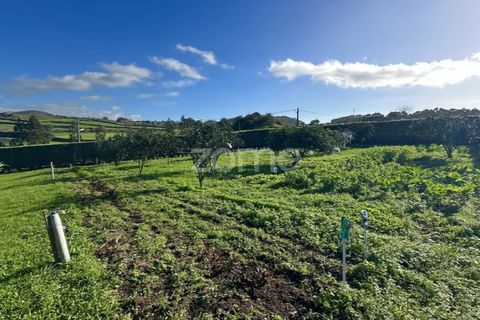 Villa a Pico da Pedra, Sao Miguel, Pico da Pedra - € 799.000 | Ref: ZMPT573776 - foto 41