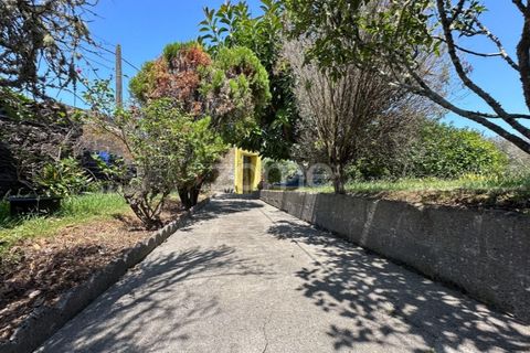 Farm i Rabo de Peixe, Sao Miguel, Rabo de Peixe - € 1.600.000 | Ref: ZMPT570586 - foto 5