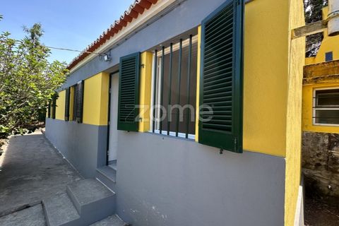 Farm i Rabo de Peixe, Sao Miguel, Rabo de Peixe - € 1.600.000 | Ref: ZMPT570586 - foto 6