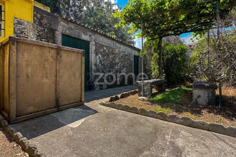 Farm i Rabo de Peixe, Sao Miguel, Rabo de Peixe - € 1.600.000 | Ref: ZMPT570586 - foto 11
