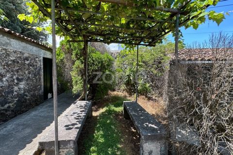 Farm i Rabo de Peixe, Sao Miguel, Rabo de Peixe - € 1.600.000 | Ref: ZMPT570586 - foto 13