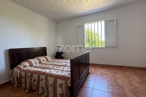 Farm i Rabo de Peixe, Sao Miguel, Rabo de Peixe - € 1.600.000 | Ref: ZMPT570586 - foto 18