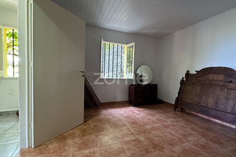 Farm i Rabo de Peixe, Sao Miguel, Rabo de Peixe - € 1.600.000 | Ref: ZMPT570586 - foto 19